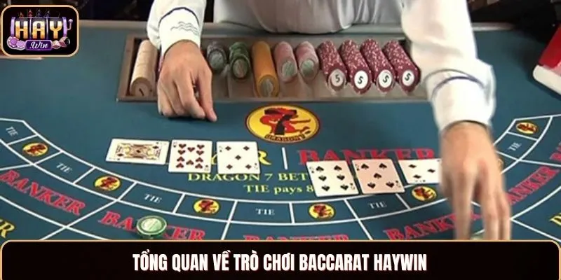 Tổng quan về trò chơi Baccarat Haywin