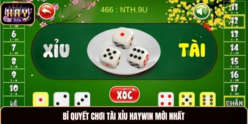 Tài Xỉu Haywin - Chinh Phục Cá Cược Chuẩn Xác 2025 Bí quyết chơi tài xỉu haywin mới nhất