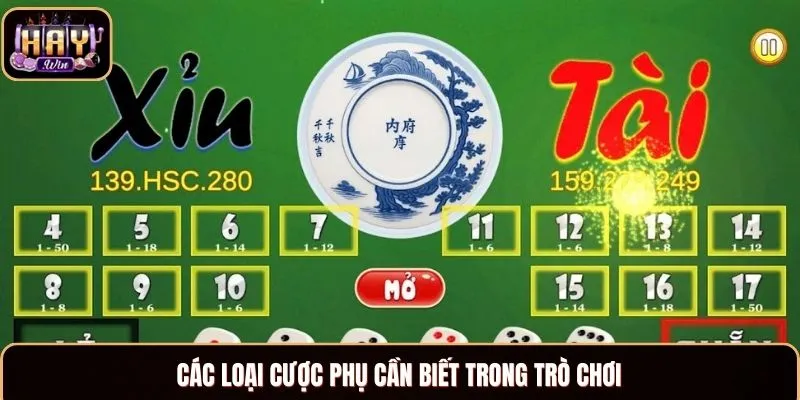 Tài Xỉu Haywin - Chinh Phục Cá Cược Chuẩn Xác 2025 Các loại cược phụ cần biết trong trò chơi