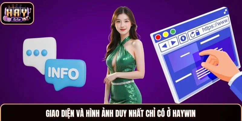 Giao diện và hình ảnh duy nhất chỉ có ở chính sách riêng tư Haywin