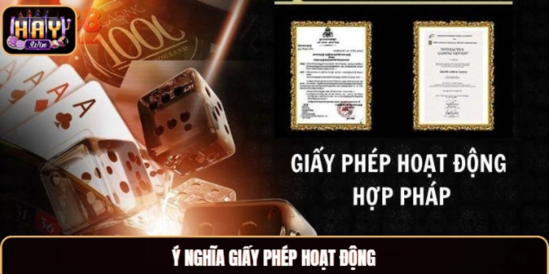 Giấy Phép Hoạt Động Haywin Và Thông Tin Anh Em Cần Biết Ý nghĩa giấy phép hoạt động