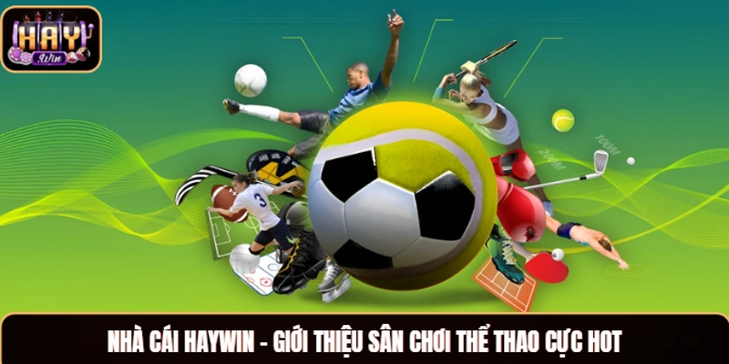 Nhà Cái Haywin - Sự Lựa Chọn Cá Cược Hàng Đầu Cho Bet Thủ Nhà cái Haywin - giới thiệu sân chơi thể thao cực hot
