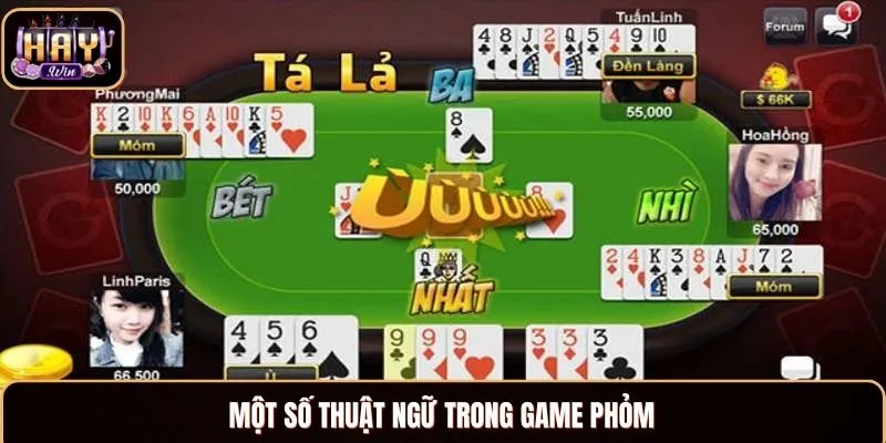 Phỏm HAYWIN - Game Bài Uy Tín, Nổi Tiếng Khắp Châu Á Những thuật ngữ bạn sẽ dễ gặp trong game Phỏm