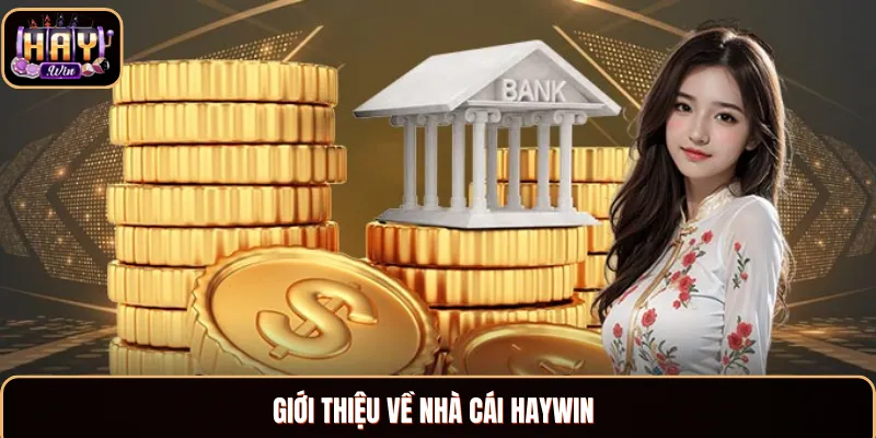 Rút Tiền Haywin - Hướng Dẫn Rút Vốn Cực Kỳ Nhanh Chóng Bật mí thông tin về nhà cái Haywin