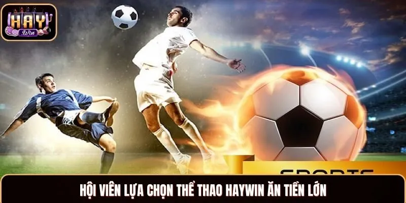 Haywin Hội viên lựa chọn thể thao Haywin ăn tiền lớn